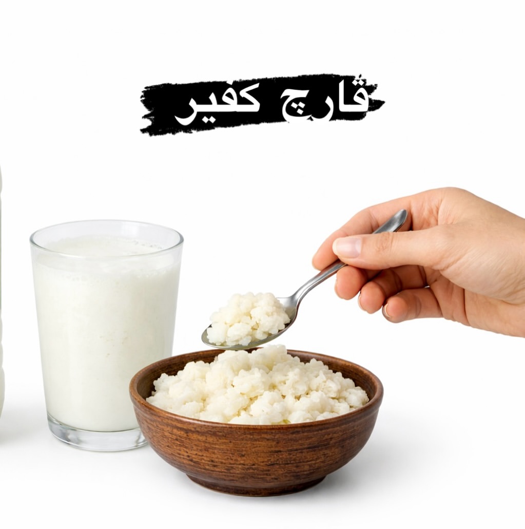 قارچ کفیر زنده